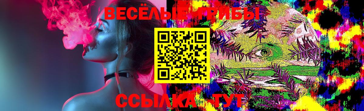 Калуга  где можно купить наркотик  Вход с VPN  Галлюциногенные грибы Cubensis 