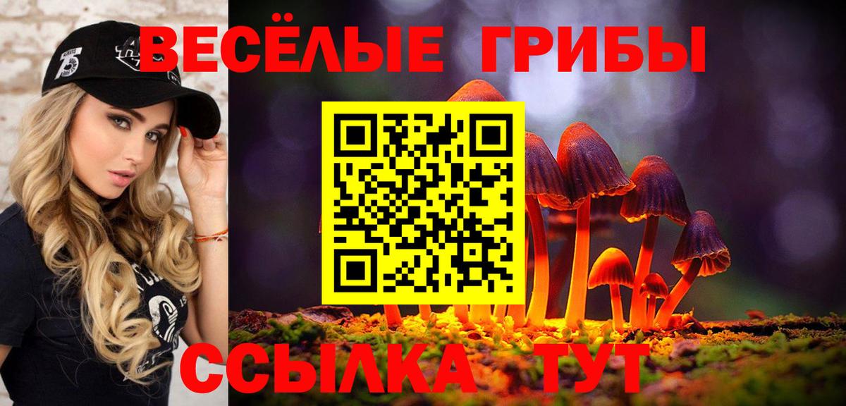 Галлюциногенные грибы Cubensis Калуга